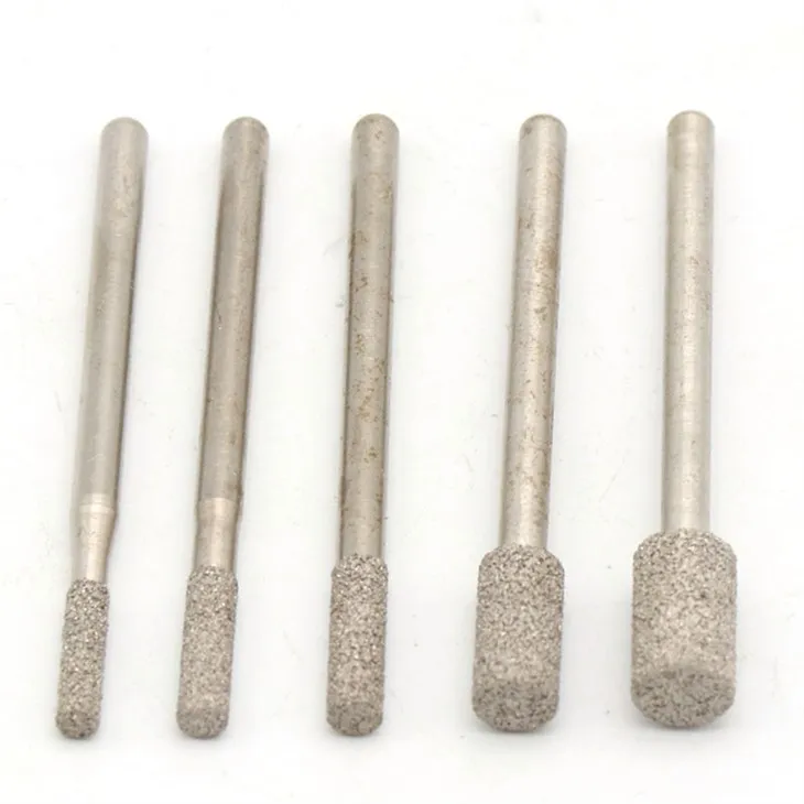 Hmyz s diamantovou jehlou